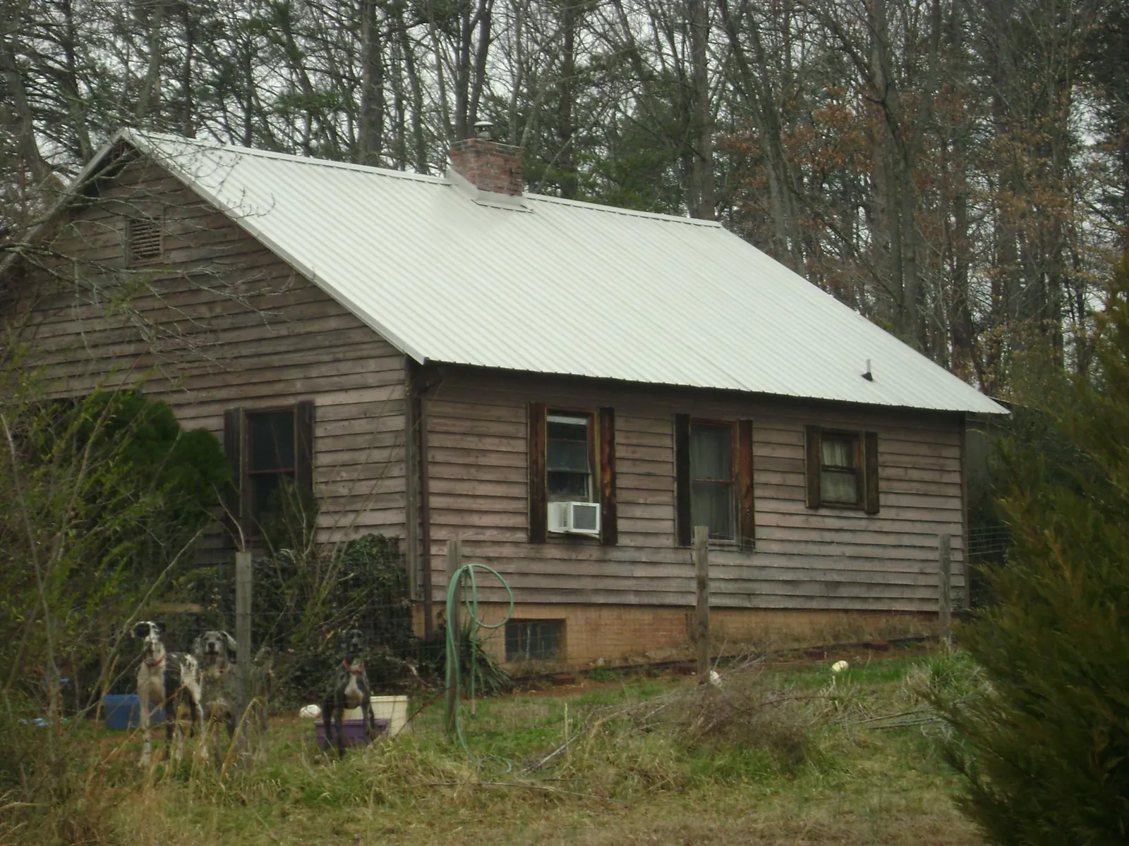 White metal roof on an old wood sided farmhouse, from a Asphalt Shingle Roof Repair job in Pine Mountain